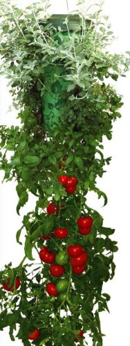 Topsy Turvy Tomato & Herb Planter