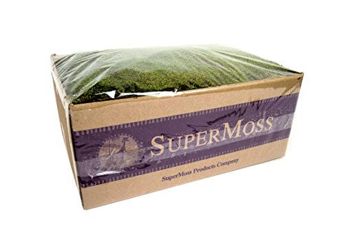 SuperMoss (21598) Sheet Moss Preserved, Fresh Green Wet Use*, 5lbs (20-24 sq. ft.)