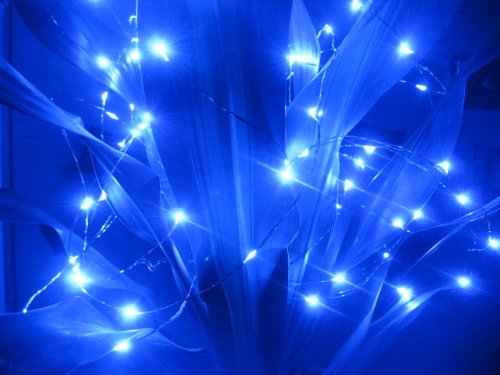 12V DC 33Ft Copper Wire LED String Light ,Decorate for Christmas,Wedding ,Halloween, – Includes Power Adapter, (blue)