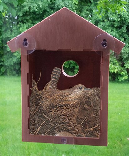 See Through Mirrored Bird House