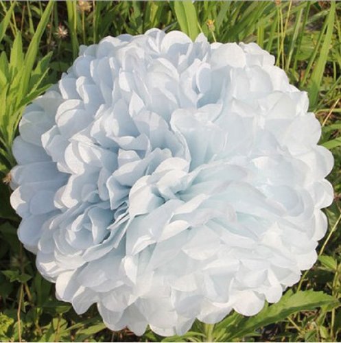 10pcs Tissue Paper Pom-poms Flower Ball Wedding Party Outdoor Decoration (White)