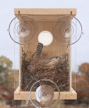 See Through Window Bird House