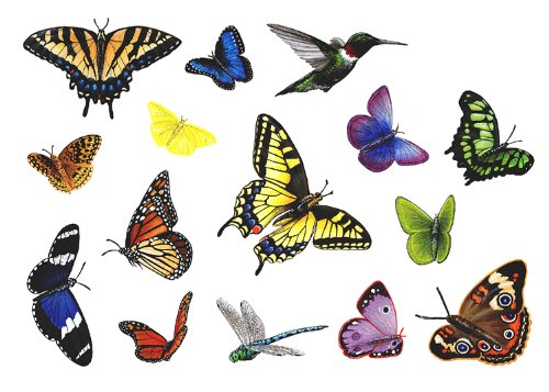 Butterfly Sticker Murals