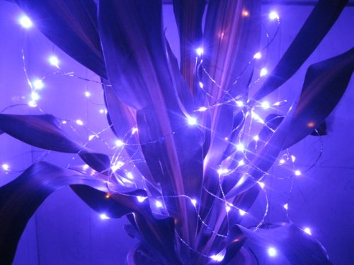 12V DC 33Ft Copper Wire LED String Light ,Decorate for Christmas,Wedding ,Halloween, – Includes Power Adapter, (purple)