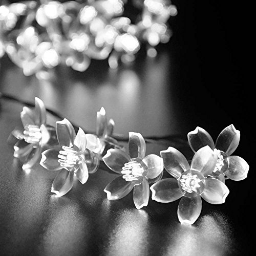 lederTEK Solar Fairy String Lights 21ft 50 LED White Blossom Decorative Gardens, Lawn, Patio, Christmas Trees, Weddings, Parties, Indoor and Outdoor Use (50 LED White)