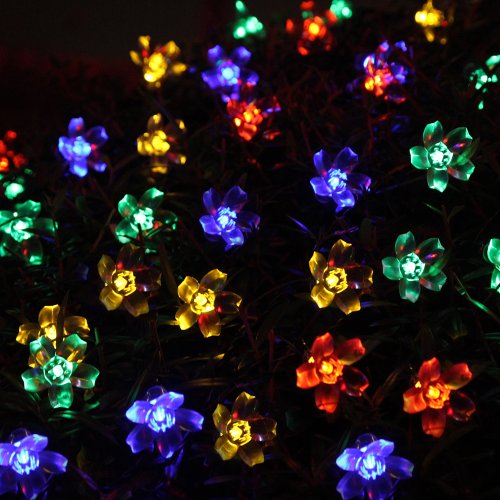 InnooTech 50 Led Solar Fairy String Lights Outdoor Blossom for Chrismtas Tree, Patio, Garden-Multi Color