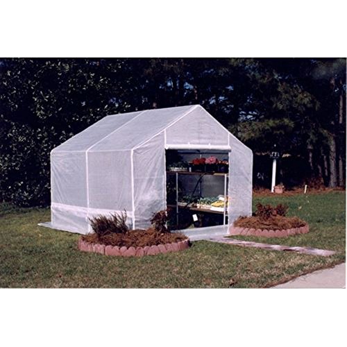 King Canopy GH1010 10-Feet by 10-Feet Fully Enclosed Greenhouse, Clear