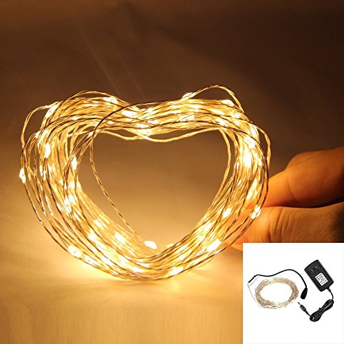 NexScene Starry Durable DC Silver Coating 10M/33FT Copper Wire Flexible Lights 100 LEDs For Wedding Christmas Party Holiday with 12V Power Adapter (Warm White)