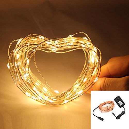 NexScene Starry Durable DC Copper Coating 10M/33FT Copper Wire Flexible Lights 100 LED For Wedding Christmas Party Holiday with 12V Power Adapter (Warm White)