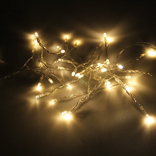 Karlling Battery Operated Warm White 40 LED Fairy Light String Xmas Party Decoration