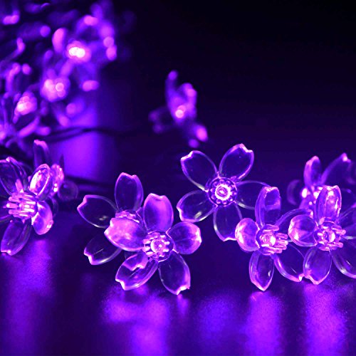 lederTEK Solar Fairy String Lights 21ft 50 LED Purple Blossom Decorative Gardens, Lawn, Patio, Christmas Trees, Weddings, Parties, Indoor and Outdoor Use (50 LED Purple)