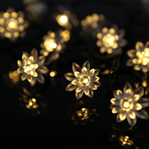 M&T TECH 20 Double Lotus Solar String Lights for Outdoor Garden Patio Christmas Party Wedding-Warm White