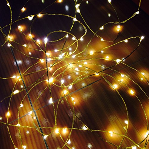 Starry String Lights Warm White Color Led’s on Flexible Copper String Lights