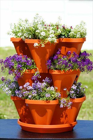 plant pots