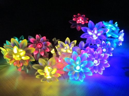 M&T TECH Solar Powered 20 LED String Lights For Christmas, Garden,Outdoor,Party.Patio,Lawn with 20 Double Lotus Flower(Multi color)