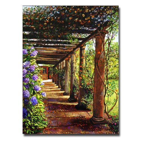Trademark Fine Art Pergola Walkway by David Lloyd Glover Canvas Wall Art, 24×32-Inch