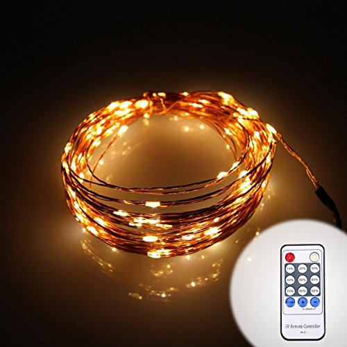 NEWSTYLE 33Ft Copper LED Strings 100 LEDs Starry LED Lights LED String Light Festival Decorative LED String Lights with 12V Power Adapter with Remote Control (Warm White)