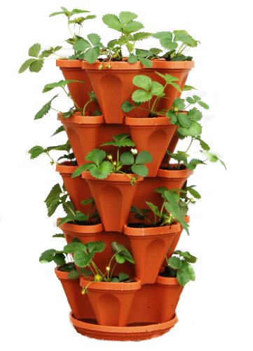 5 Tiered Hanging and Stacking Vertical Strawberry Planter Pot – Learn How to Grow Organic Strawberries Easy with these Cool indoor outdoor Terracotta Plastic Containers – Great Garden Planting Pots Kit – Planters Also Used For Pepper Herbs Flower Tomato Succulent Green Bean – Free Growing Gardening Plant Tips – Perfect Gifts For Mom or Dad