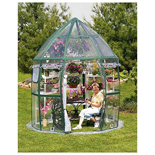 Flower House FHCV900 Conservatory Clear Greenhouse