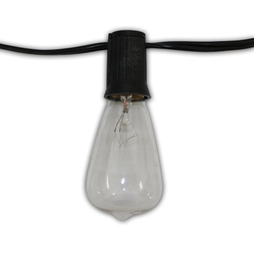 String Light Company VC94824 Edison Vintage Series 48-Ft String Lights with 24 Light Sockets and 24 Clear Bulbs