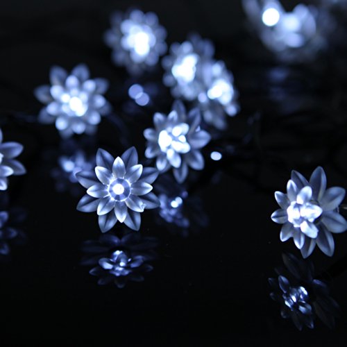M&T TECH 20 Flower Christmas Lights Solar Powered Outdoor String Lights for Outside Party,Patio,Garden,Porch,Wedding- White