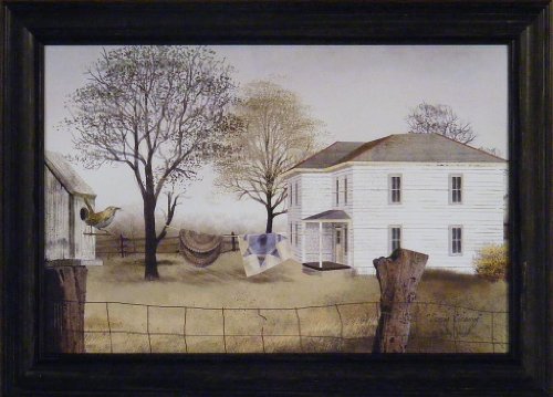 Spring Cleaning by Billy Jacobs 15×21 Country Farmhouse Bird Birdhouse Primitive Folk Art Print Wall Décor Framed Picture
