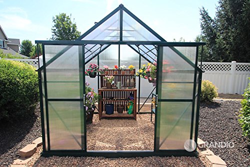 Grandio Ascent 8×12 Greenhouse Kit – 6mm Twin-Wall Polycarbonate