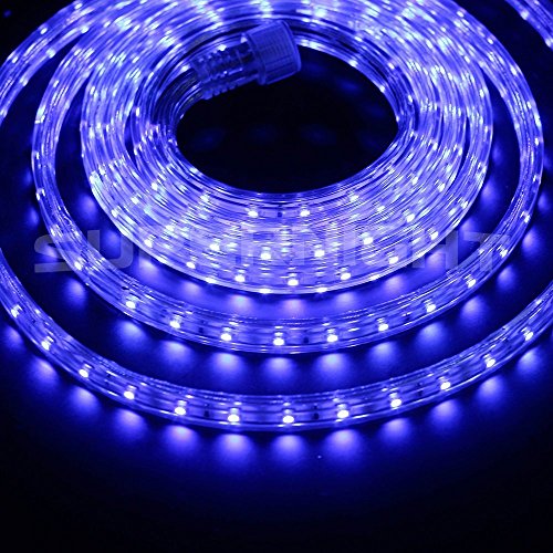 DVW 3m / 10Ft SMD 3528 180 LEDs Strip Lights, Flexible Light Strip AC 110V High Voltage Kits,Waterproof Tube Indoor decoration Rope Light ,60 LEDs/M wedding Christmas Lighting DIY Light Set-Color:Blue