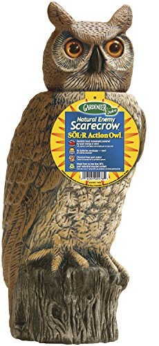 Gardeneer By Dalen Natural Enemy Scarecrow SOL-R Action Owl