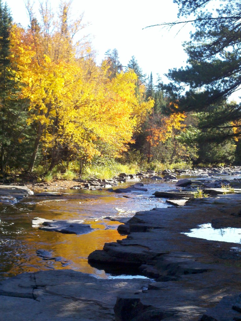 fall colors and river