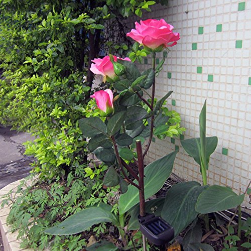Crazy Genie Rose Flower Solar LED Solar Topiary Lights Wedding Porch Deck Yard Garden Decor Decorative Landscape (pink)
