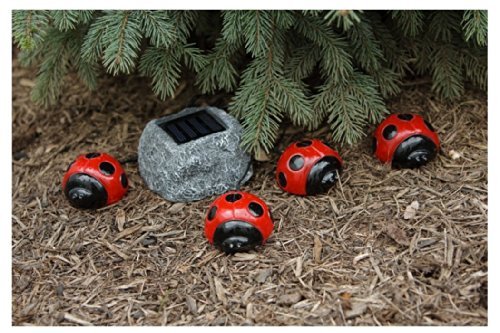 Perfect Ladybug Solar 4-pack LED Light Set