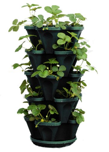 5 Tiered Hanging and Stacking Indoor Outdoor Vertical Strawberry Planter – Learn How to Grow Organic Strawberries Easy with These Hunter Green Plastic Mr Stacky Containers – Great Garden Planting Pots – Bulb Planters Also Used for Herbs Lettuce Peppers Flowers Tomatoes Succulents Green Beans – Free Growing Gardening Plant Tips – Ideal Cool Christmas Gifts For Everyone