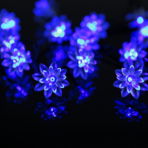 M&T TECH 20 Blue Double Lotus Solar Powered String Fairy Lights for Outdoor Wedding,Party,Garden,Patio,Porch, Lawn,Christmas