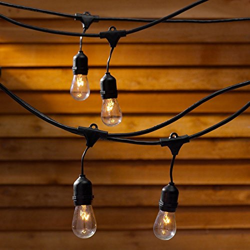 String Lights – 48 Feet Long with 15 Light Bulbs Included