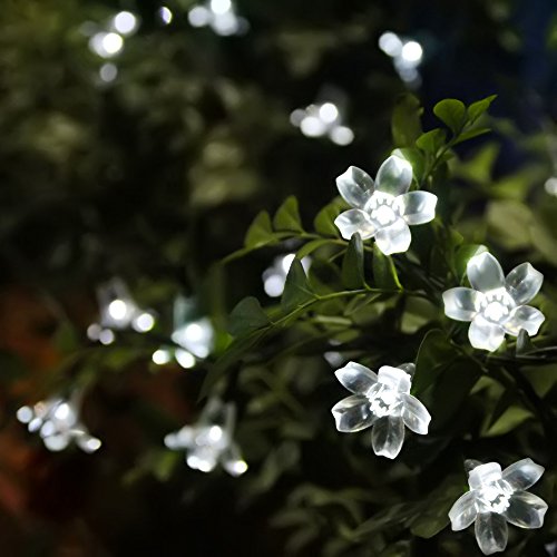 Innoo Tech Solar Powered Fairy Lights 5M 50 Cool White Blossom Covers Ideal for Patio, Garden, Lawn, Chrismas, Parties, Weddings