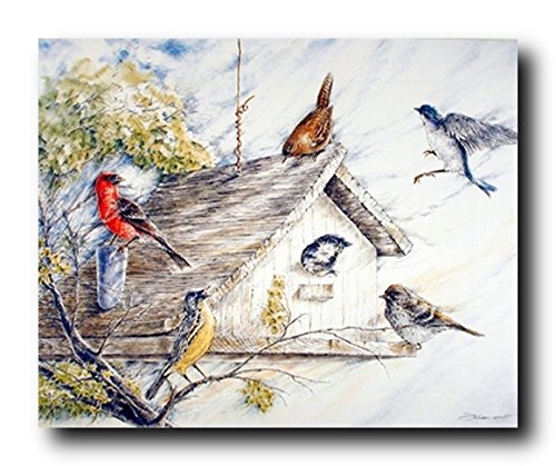 Birds At Birdhouse Wild Animal Nature Fine Art Print Poster (16×20)