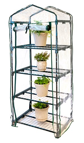 4 Shelf Mini-Greenhouse With Cover by Trademark Innovations