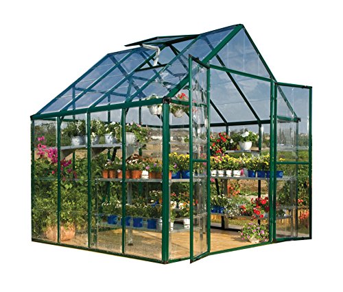 Palram Snap & Grow 8′ Series Hobby Greenhouse – 8 x 8 x 9 Green