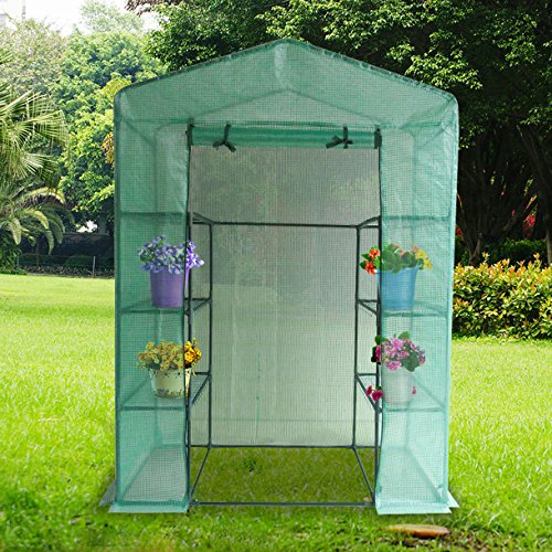 Quictent® Portable Greenhouse Large Green Garden Hot House More Size (78″x56″x30″)