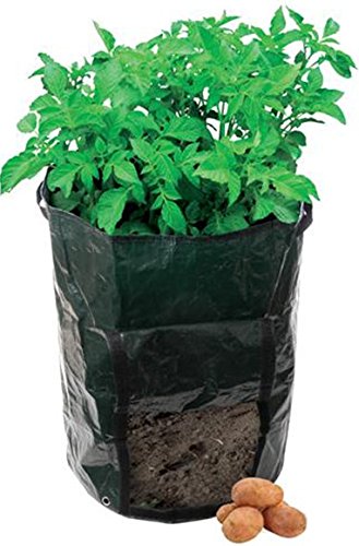 Yuhwa Green Potato Planter Gardeners Grow Bags 2-Pack, 18 H x 17 W