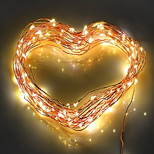 Minger Indoor/ Outdoor Led String Lights 33ft 100 Leds Waterproof Starry String Light for Christmas Tree, New Year, Wedding, Birthday Party, Patios, Gardens, Homes, Lawns(Warm White)