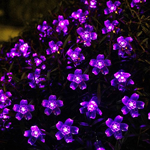 50 Led Solar Powered String Lights Outdoor Fairy Light for Garden Purple Peach Blossom By Uping （ Good Packaging Suitable for Gift）