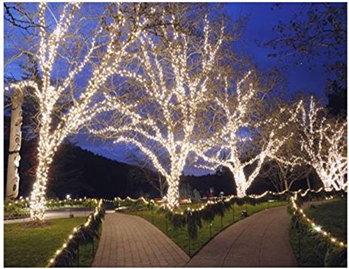 #1 Best Selling, Auto Solar Lights 40 ft 100 LED 4 Modes Solar Fairy String Lights for Great Illuminating Indoor, Outdoor, Gardens, Homes, Wedding, Christmas Party, Waterproof,