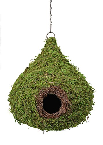 SuperMoss 56010 Raindrop Birdhouse with Chain, 10 by 13-Inch, Fresh Green