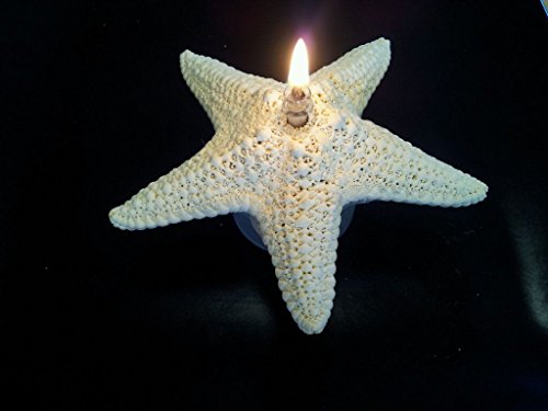 SeaThingz Candles ☼ Natural Starfish Oil Lamps ☼ Novelty Luminaries for Indoor & Outdoor Decorative Lighting ☼ Fantastic Coastal Home Decor ☼ Stylish Emergency Lights ☼ 6-7 Inches