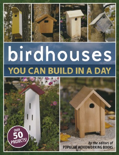 Birdhouses You Can Build in a Day (Popular Woodworking)