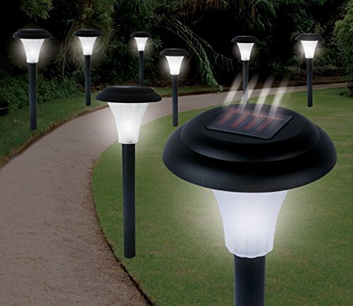 Eco-Republic Solar Powered Plastic LED Path Light; Accent Light; Outdoor Garden Lights; Set of 8; Black