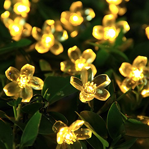 solar Fairy string lights 50 Led Blossom Flower Christams Lights for Outdoor Garden Patio(Warm White)