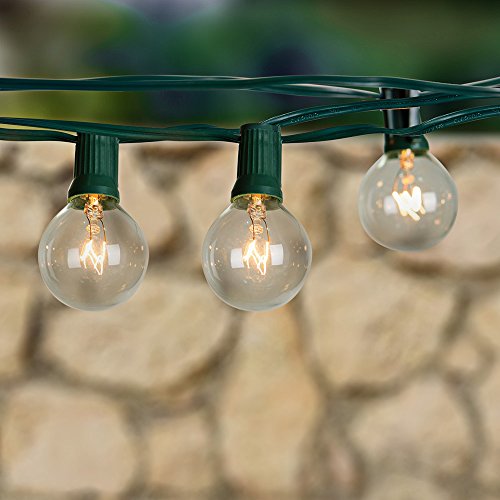TaoTronics Globe String Lights with 25 Clear G40 Bulbs, Warm White, FCC Listed, Connect Up to 3 Strings, Perfect for Indoor / Outdoor Use, 25ft.